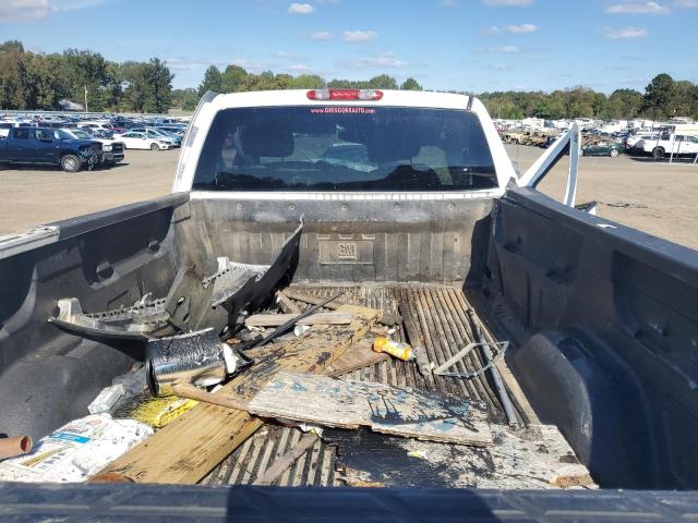 1GCNCPE04DZ215834 - 2013 CHEVROLET SILVERADO C1500 Ağ foto 10