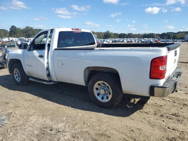 1GCNCPE04DZ215834 - 2013 CHEVROLET SILVERADO C1500 Ağ foto 2