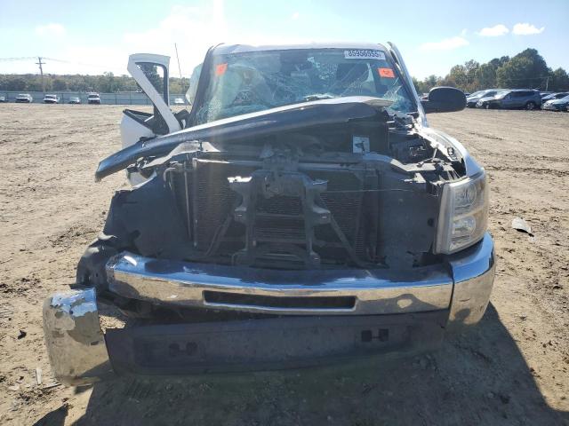 1GCNCPE04DZ215834 - 2013 CHEVROLET SILVERADO C1500 Ağ foto 5