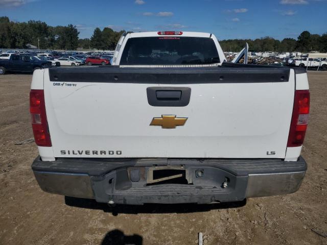 1GCNCPE04DZ215834 - 2013 CHEVROLET SILVERADO C1500 Ağ foto 6
