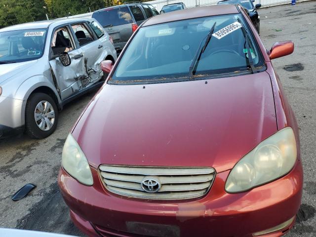 1NXBR32E93Z075359 - 2003 TOYOTA COROLLA CE RED photo 5