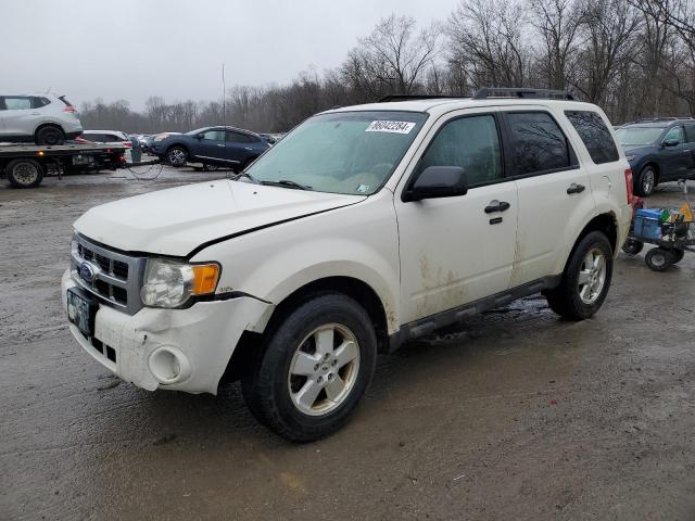 2011 FORD ESCAPE XLT, null