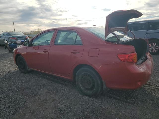 2T1BU40E69C055281 - 2009 TOYOTA COROLLA BASE Կարմիր լուսանկար 2