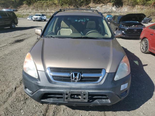 SHSRD78804U223539 - 2004 HONDA CR-V EX TAN photo 5
