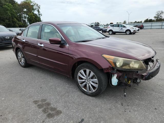 1HGCP3F8XBA000917 - 2011 HONDA ACCORD EXL 勃艮第红 照片 4