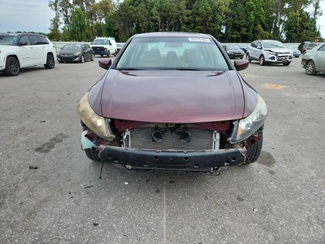 1HGCP3F8XBA000917 - 2011 HONDA ACCORD EXL 勃艮第红 照片 5