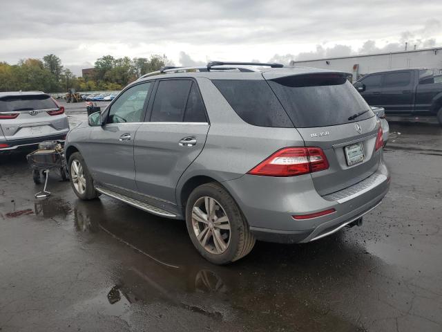 4JGDA5HB1EA274290 - 2014 MERCEDES-BENZ ML 350 4MATIC SILVER photo 2
