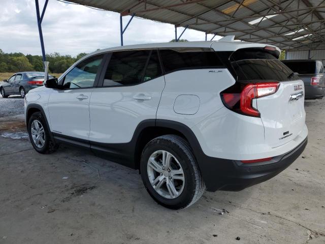 3GKALMEG9RL400975 - 2024 GMC TERRAIN SLE WHITE photo 2