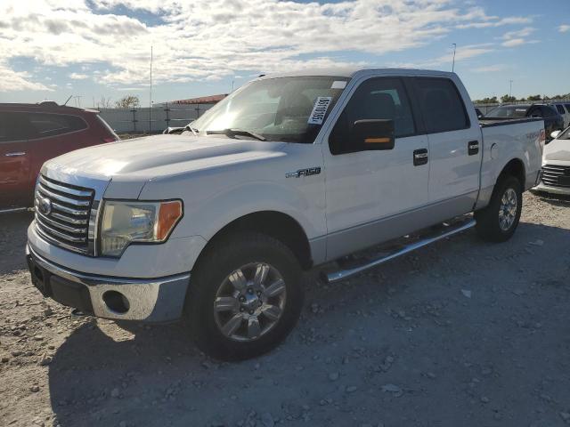 2010 FORD F150 SUPERCREW, null