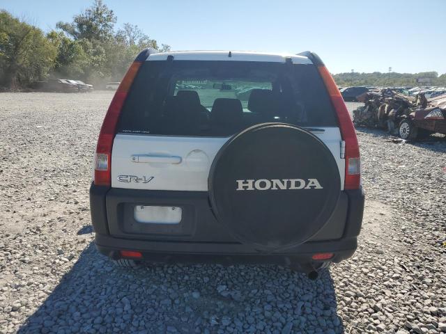 JHLRD78833C029223 - 2003 HONDA CR-V EX Ağ foto 6