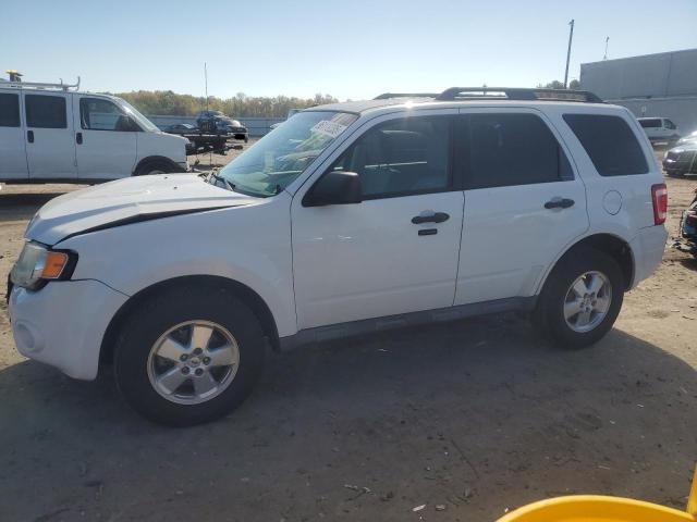2012 FORD ESCAPE XLT, 