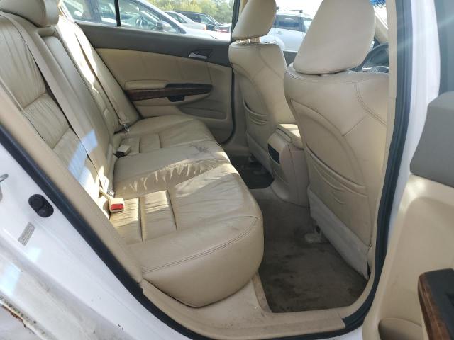 5KBCP3F80AB003119 - 2010 HONDA ACCORD EXL WHITE photo 10