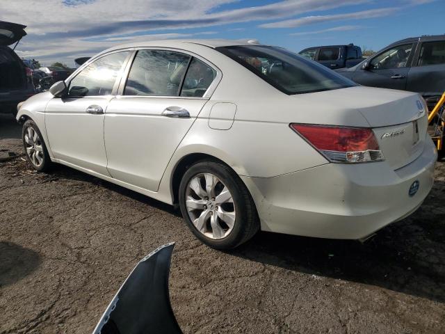 5KBCP3F80AB003119 - 2010 HONDA ACCORD EXL WHITE photo 2