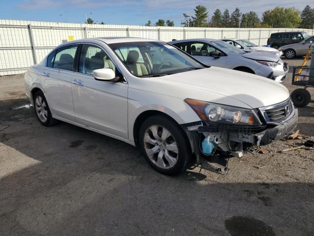 5KBCP3F80AB003119 - 2010 HONDA ACCORD EXL WHITE photo 4