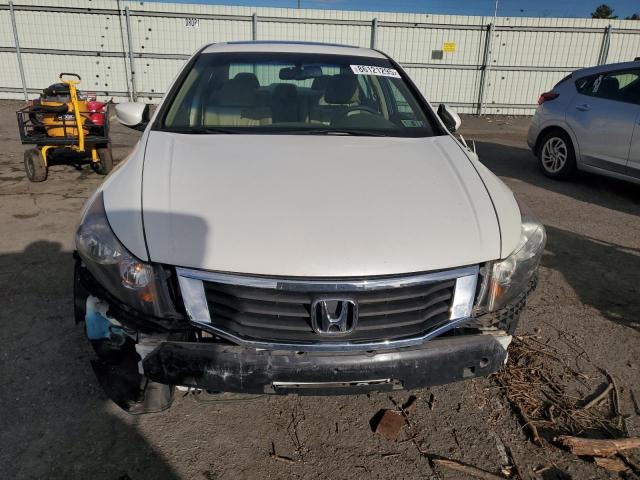 5KBCP3F80AB003119 - 2010 HONDA ACCORD EXL WHITE photo 5