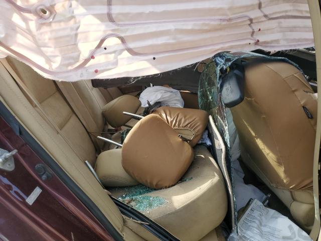 1HGCP26829A042101 - 2009 HONDA ACCORD EXL BURGUNDY photo 10