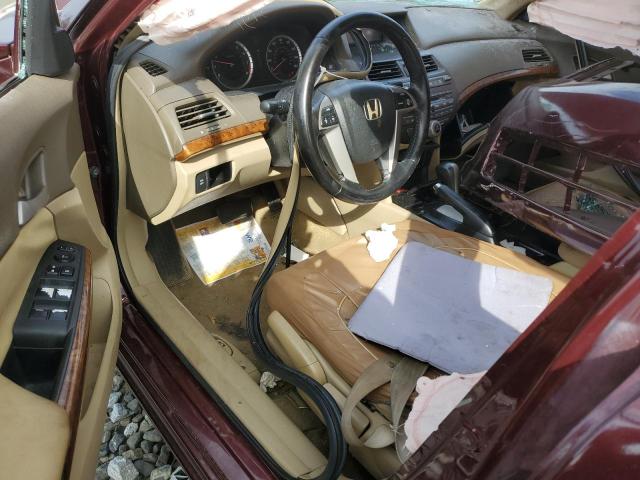 1HGCP26829A042101 - 2009 HONDA ACCORD EXL BURGUNDY photo 8