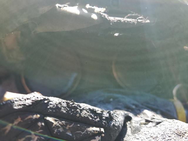 5N1AT2MV3JC833087 - 2018 NISSAN ROGUE S BLACK photo 9