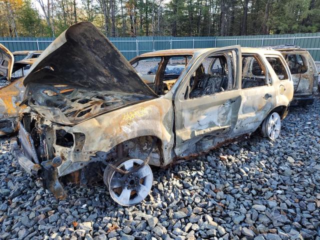 2007 FORD ESCAPE XLT, 