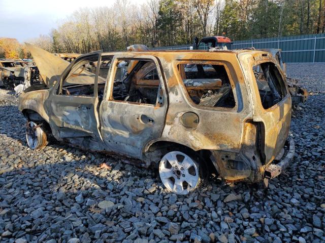 1FMYU93197KB79391 - 2007 FORD ESCAPE XLT წითელი ფოტო 2