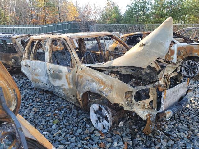 1FMYU93197KB79391 - 2007 FORD ESCAPE XLT წითელი ფოტო 4