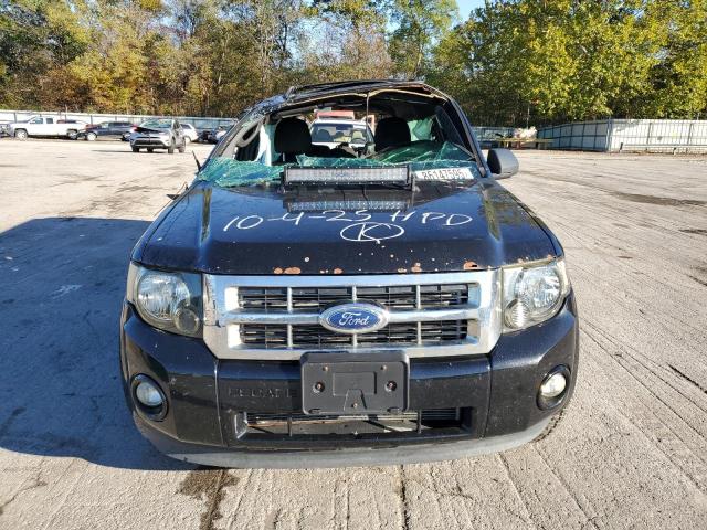1FMCU9D75BKC49488 - 2011 FORD ESCAPE XLT ორფეროვანი ფოტო 5