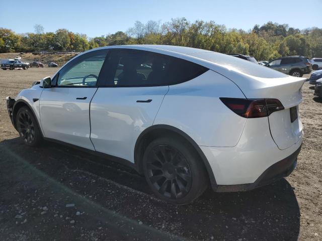 7SAYGDEE5PA050768 - 2023 TESLA MODEL Y Weiß Foto 2