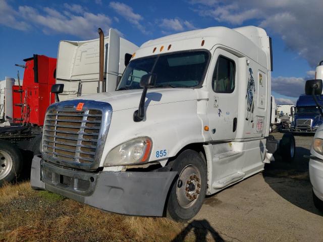1FUJGLBG5DLFE6820 - 2013 FREIGHTLINER CASCADIA WHITE photo 2