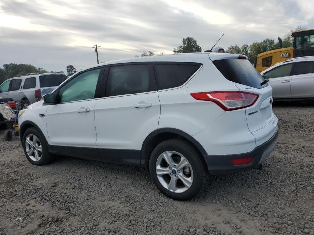 1FMCU9G93DUA17816 - 2013 FORD ESCAPE SE თეთრი ფოტო 2