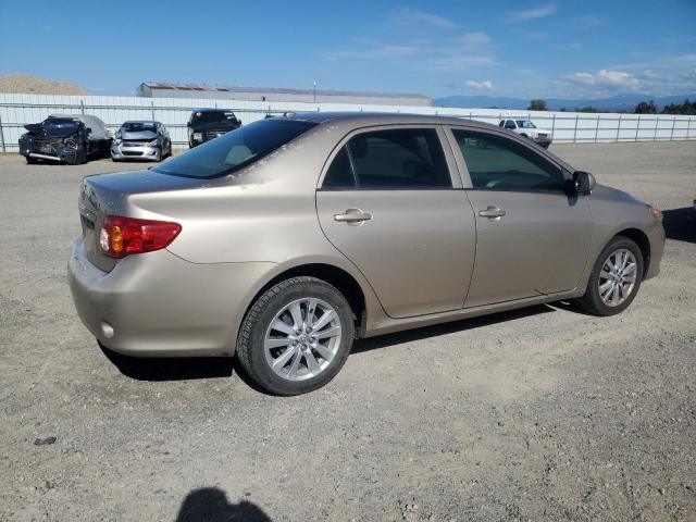 2T1BU40E69C041848 - 2009 TOYOTA COROLLA BASE GOLD photo 3