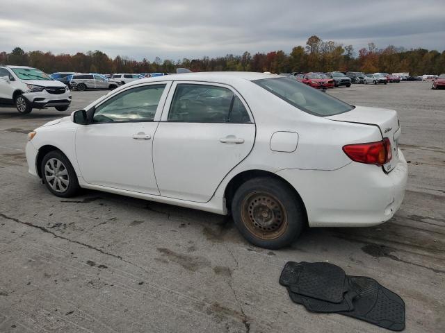 JTDBU4EE3AJ073707 - 2010 TOYOTA COROLLA BASE Biały zdjęcie 2