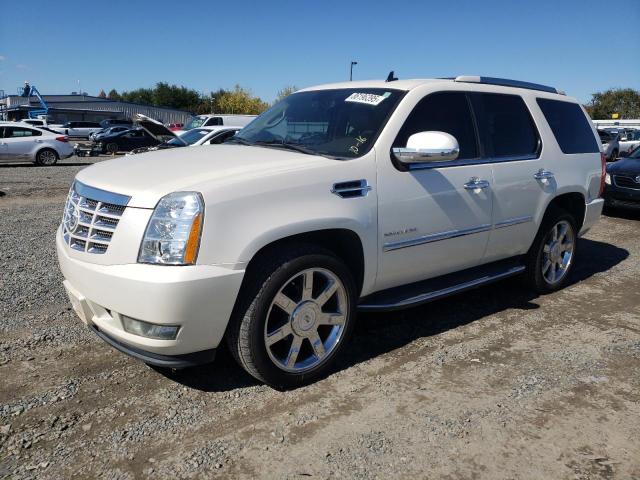 2011 CADILLAC ESCALADE LUXURY, 
