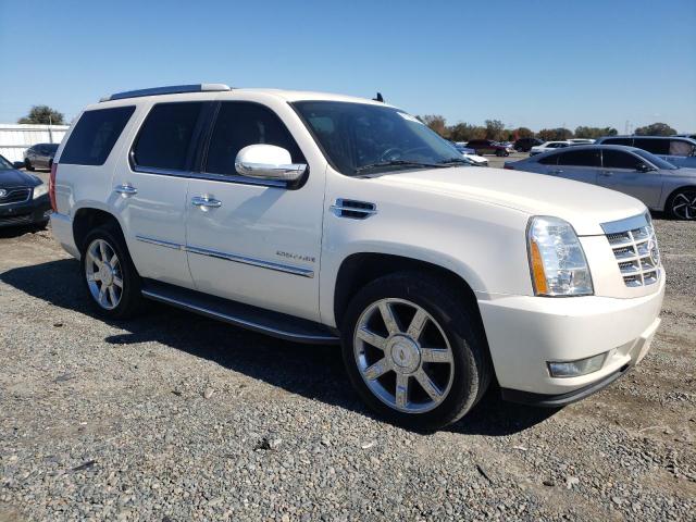 1GYS4BEF2BR137407 - 2011 CADILLAC ESCALADE LUXURY CREAM photo 4