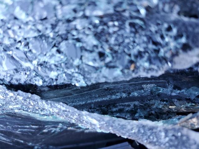 2T2BAMCA6RC067167 - 2024 LEXUS RX 350 BASE GREEN photo 14