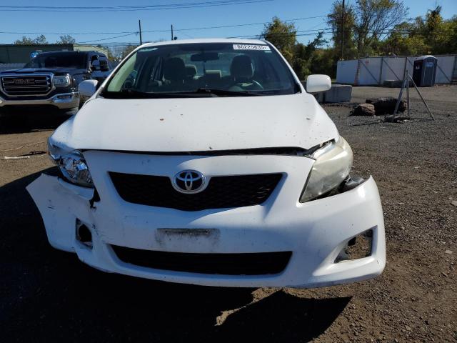 2T1BU4EE3AC269352 - 2010 TOYOTA COROLLA BASE Blanco foto 5