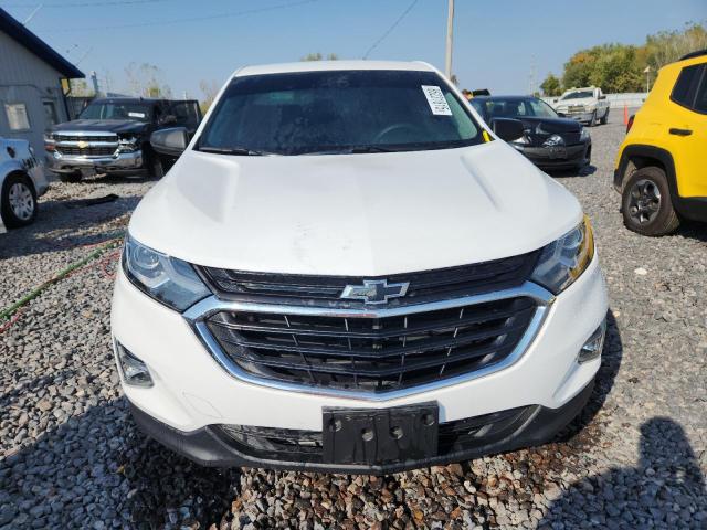 3GNAXHEV6MS162269 - 2021 CHEVROLET EQUINOX LS Սպիտակ լուսանկար 5