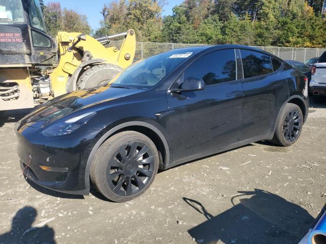 2023 TESLA MODEL Y, 