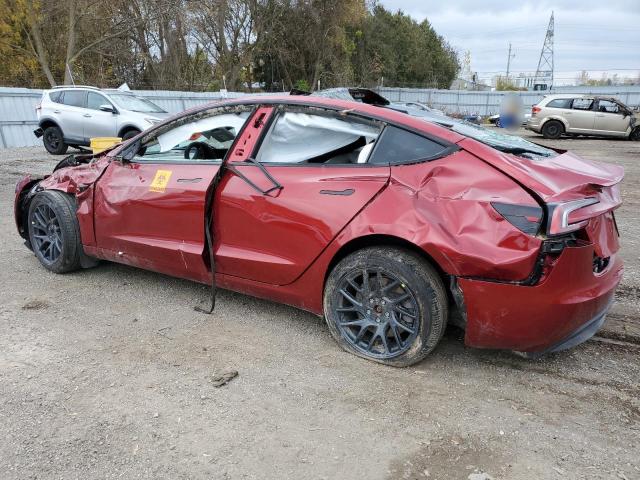 LRW3E7FA9RC057958 - 2024 TESLA MODEL 3 Կարմիր լուսանկար 2