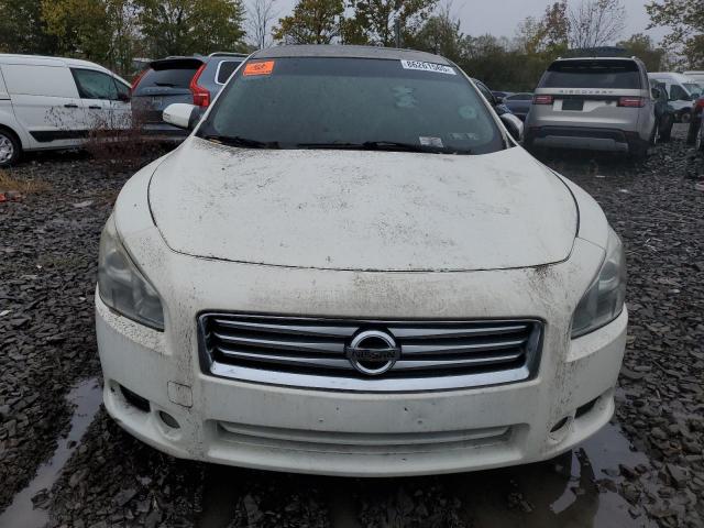 1N4AA5AP2EC470908 - 2014 NISSAN MAXIMA S WHITE photo 5