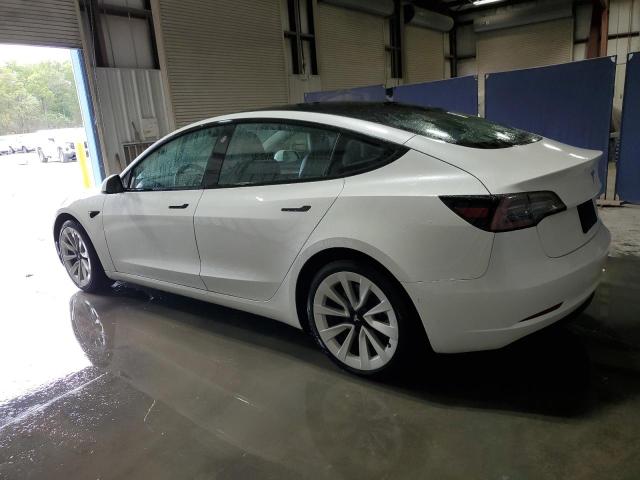 5YJ3E1EA7NF368464 - 2022 TESLA MODEL 3 Ağ foto 2