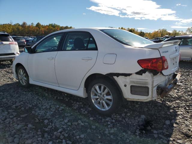 2T1BU4EE1AC461482 - 2010 TOYOTA COROLLA BASE WHITE photo 2