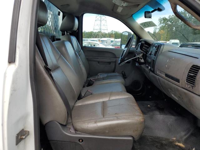 1GB0CVCG4EF141787 - 2014 CHEVROLET SILVERADO C2500 HEAVY DUTY WHITE photo 10