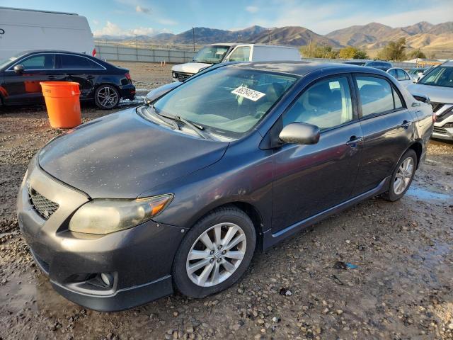 1NXBU4EEXAZ330047 - 2010 TOYT COROLLA BASE GRAY photo 1