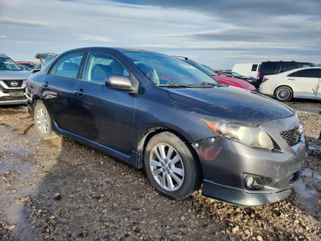 1NXBU4EEXAZ330047 - 2010 TOYT COROLLA BASE GRAY photo 4