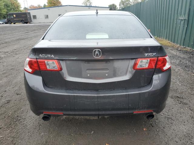 JH4CU2F61AC010947 - 2010 ACURA TSX GRAY photo 6