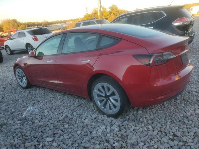 5YJ3E1EB9PF392776 - 2023 TESLA MODEL 3 红色 照片 2