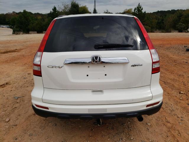 5J6RE4H51AL069046 - 2010 HONDA CR-V EX أبيض صورة 6