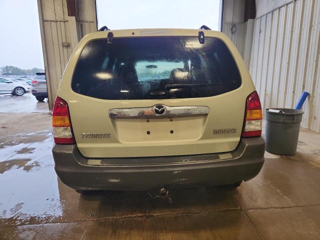 4F2CZ961X4KM34640 - 2004 MAZDA TRIBUTE ES TAN photo 6