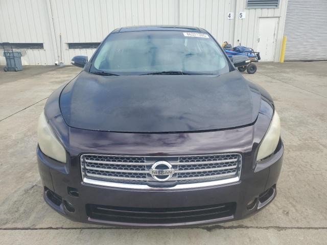 1N4AA5APXBC817638 - 2011 NISSAN MAXIMA S იასამნისფერი ფოტო 5