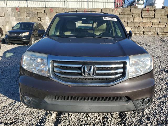 5FNYF4H56DB073647 - 2013 HONDA PILOT EXL Қоңыр фото 5